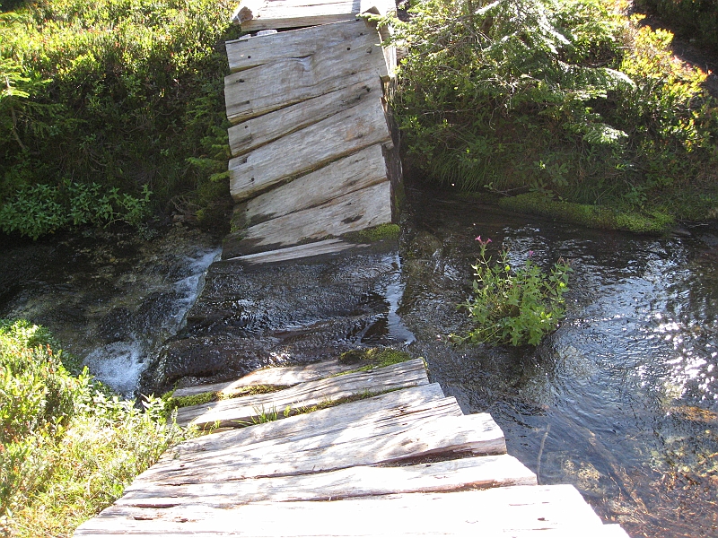 IMG_5349.JPG - Rustic footbridge